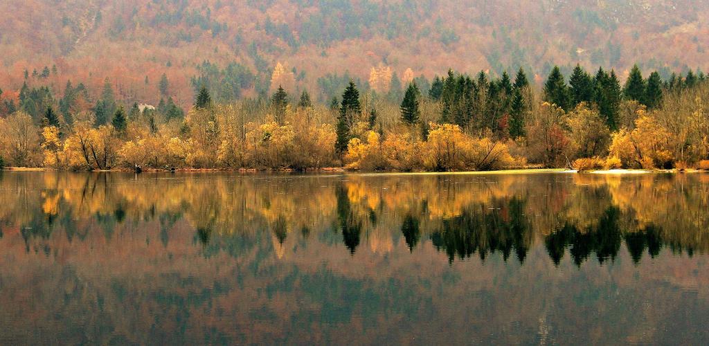 Apartmaji Pri Marodnu Bohinj Buitenkant foto