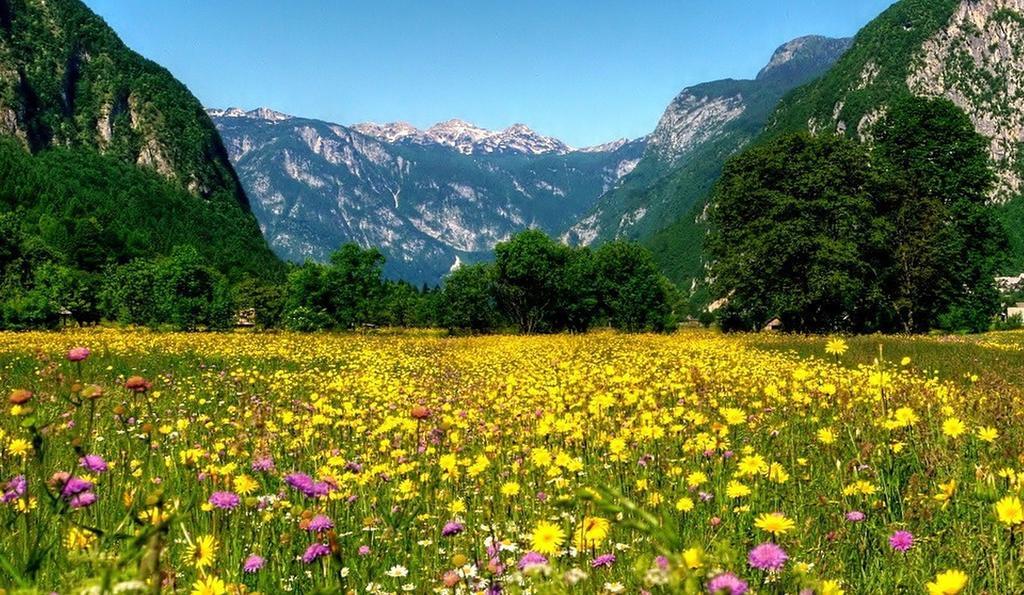 Apartmaji Pri Marodnu Bohinj Buitenkant foto